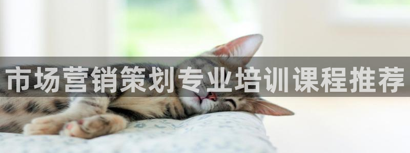 必赢国际游戏技巧