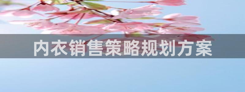 必赢国际437app下载