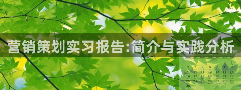 必赢客软件