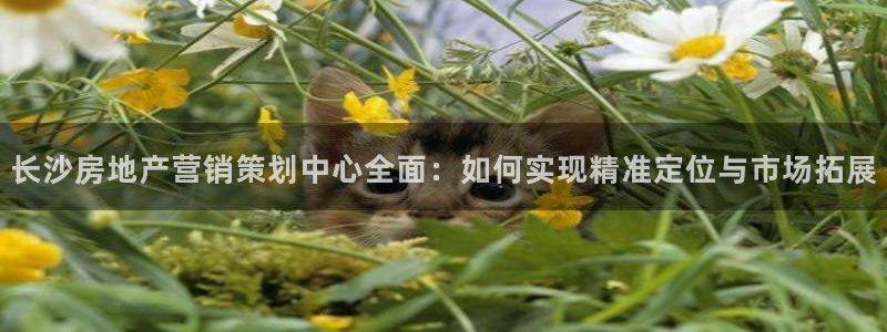 必赢网站有哪些