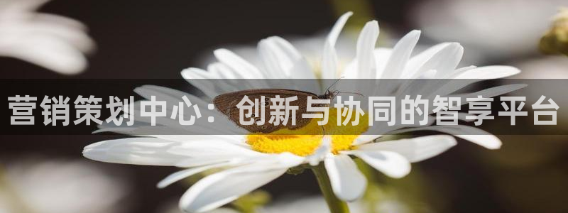 必赢手机app下载抢红包