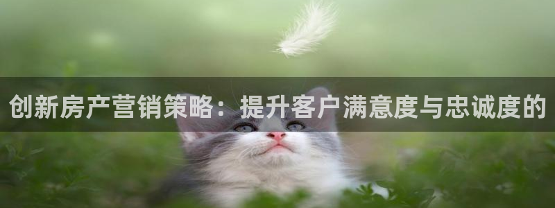 必赢8111e