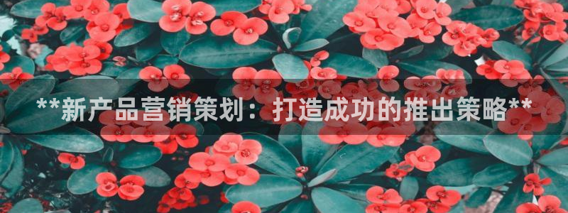 必赢棋盘官网版