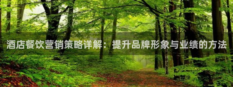 必赢最新