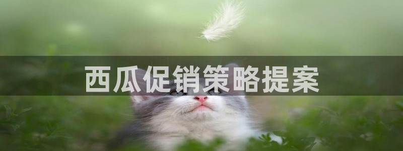 必赢888国际集团