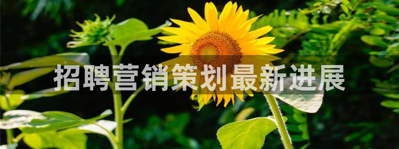 必赢网站是哪一个平台