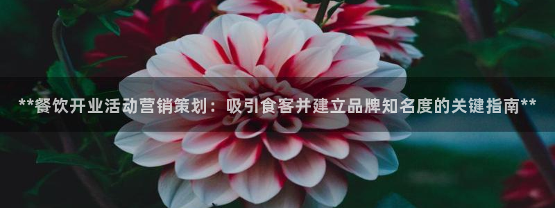 必赢首页