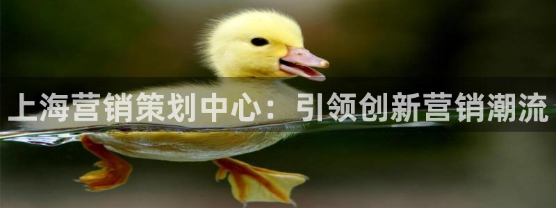 必赢平台官方网站登录