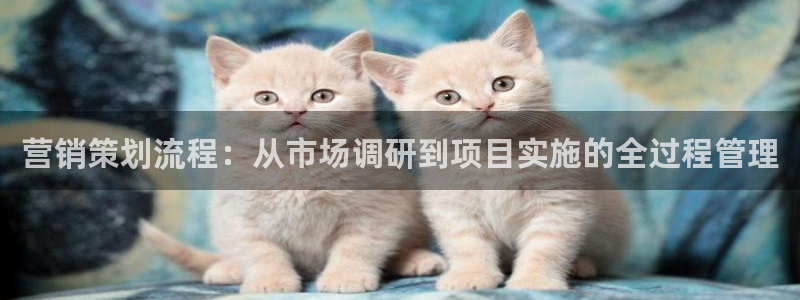 必赢九五