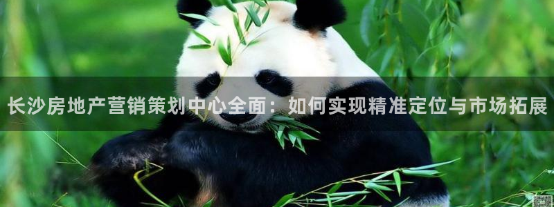 必赢下载苹果手机app