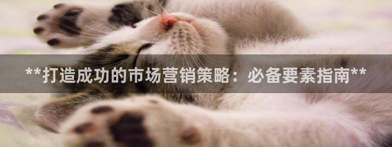 必赢是真的吗