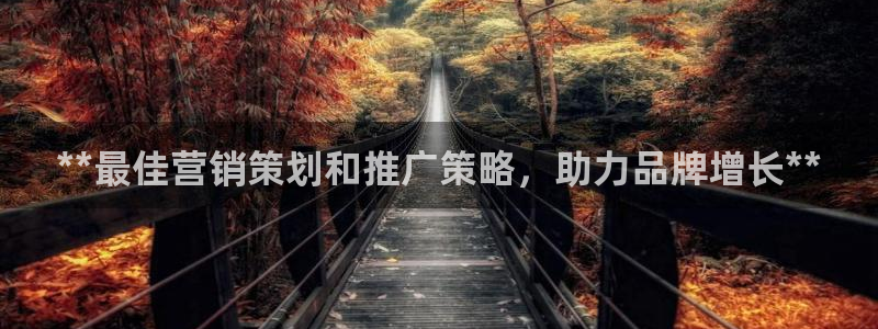 必赢网站网址是多少