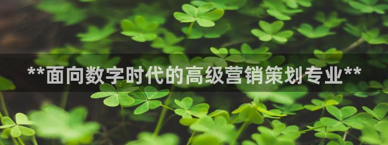 必赢亚赢网站官网下载安卓