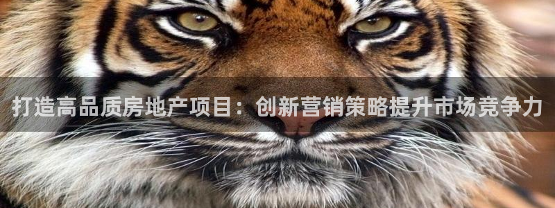 必赢链接