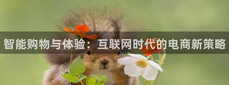 必赢平台官方网址