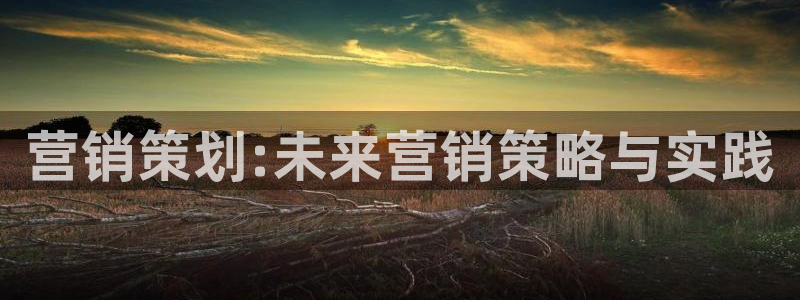 必赢手机app下载 最新版安装