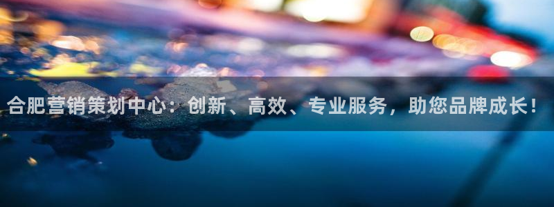 必赢3003网官