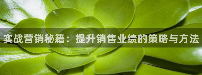 必赢88