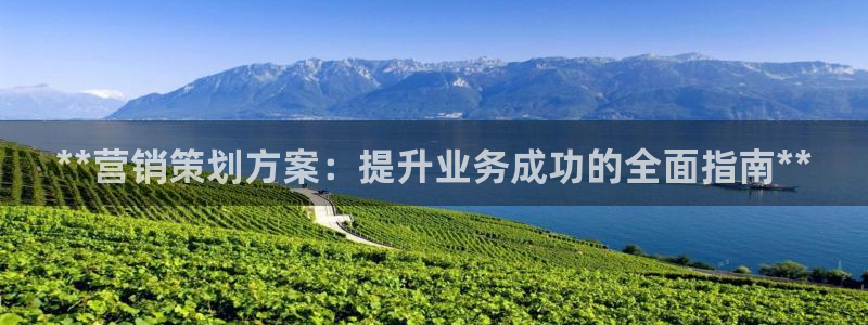 必赢app官方网站