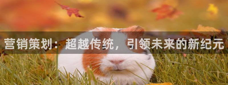 必赢这个平台怎么样啊