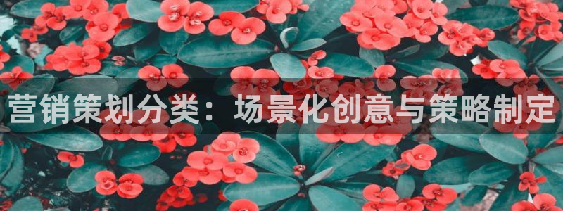 必赢国际app最新官网