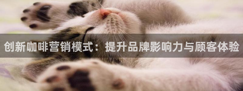 必赢国际游戏技巧