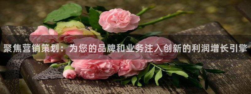 必赢网址 登录