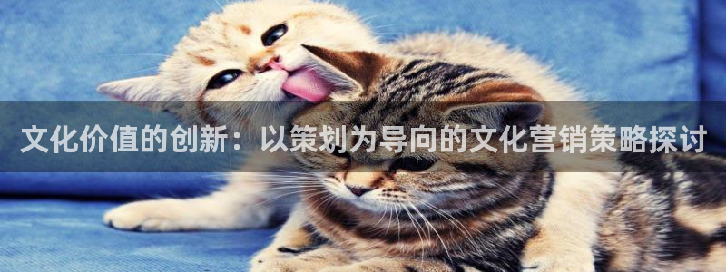 必赢集团