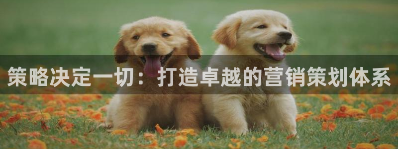 必赢国际437官方