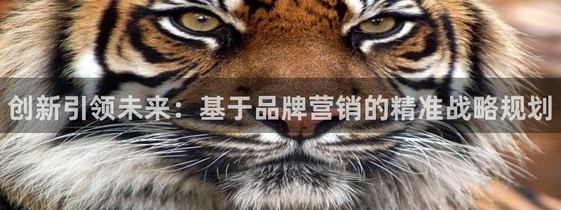 必赢国际官网登录