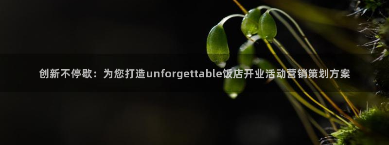 9965必赢游戏特色