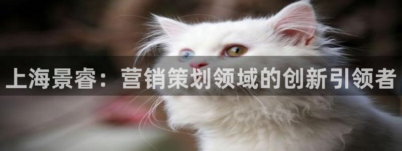必赢官网网站首页下载：上海景睿