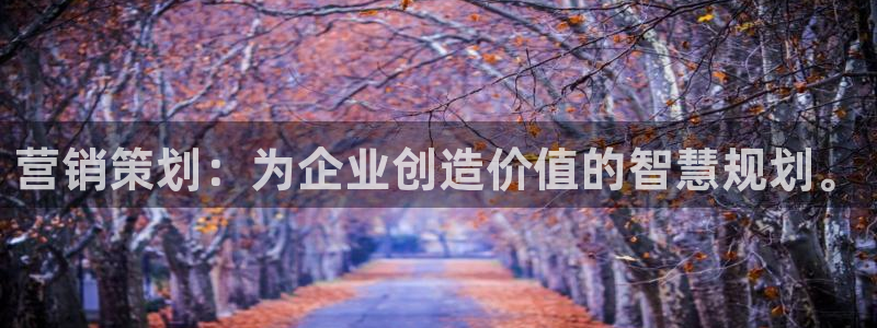 必赢官网app下载苹果版：营销