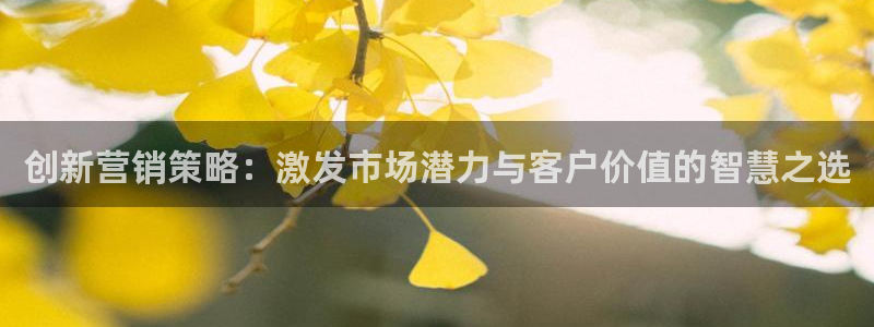 必赢网站是哪一个公司的：创新营
