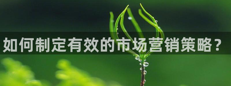必赢8888