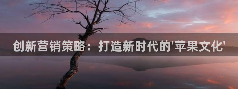 必赢客官方