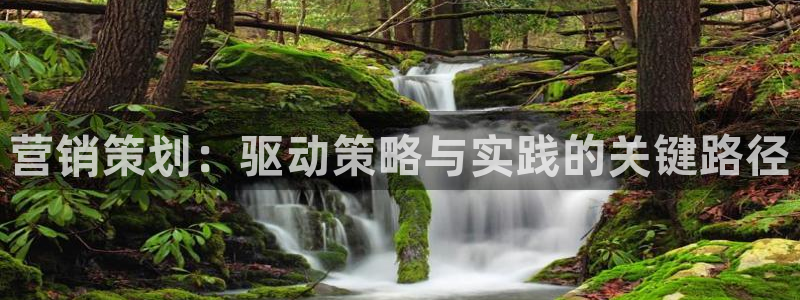必赢官网app下载安装