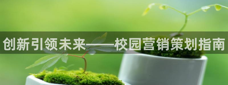 必赢国际app最新官网