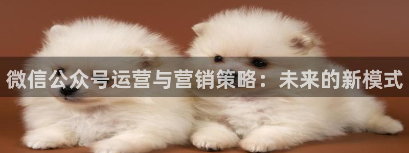 必赢平台官方网站登录