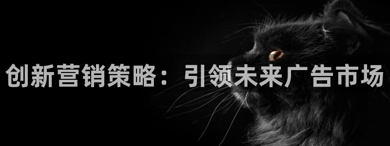 73882必赢app下载