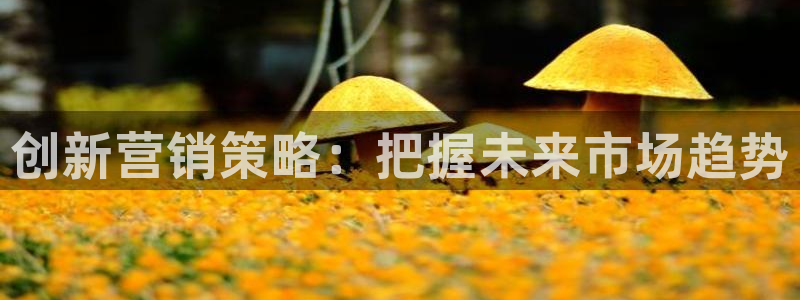 必赢app能挣钱吗是真的吗