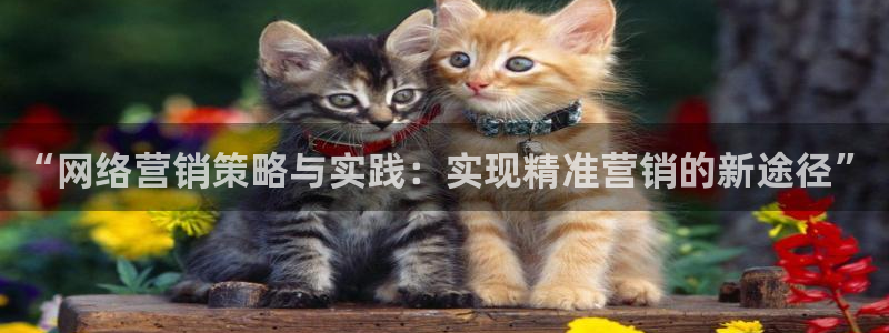 必赢集团菲律宾