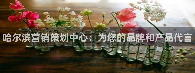 必赢国际官网登录：哈尔滨营销策