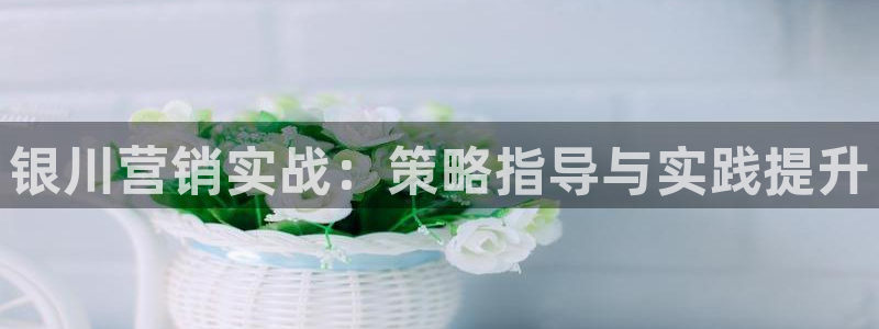 必赢app客户端下载官网手机版