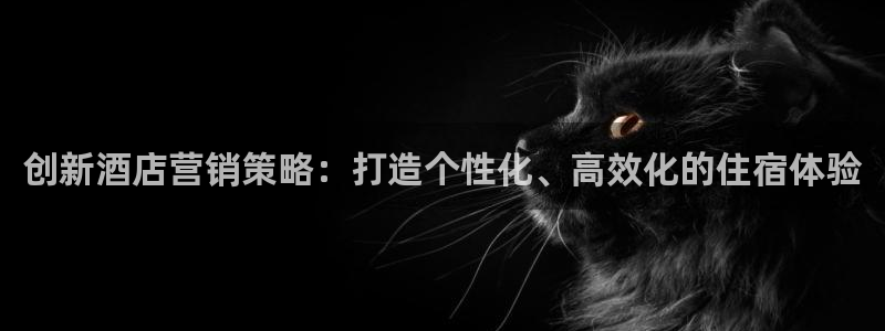 必赢平台官方电话：创新酒店营销