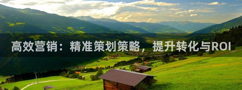 必赢网址手机主页