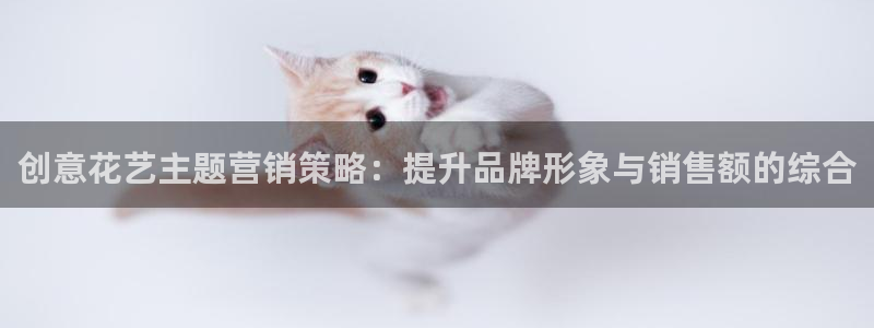 必赢手机app下载最新版本安装